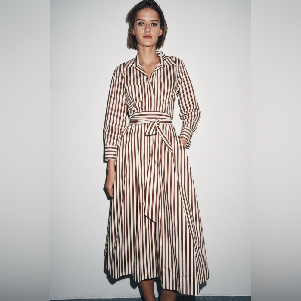 ZARA Dress with Belt